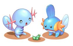 Rule 34 | berry (pokemon), commentary request, creatures (company), game freak, gen 2 pokemon, gen 3 pokemon, highres, kashina, looking at object, looking down, mudkip, nintendo, no humans, open mouth, pokemon, pokemon (creature), rindo berry, standing, tongue, wooper