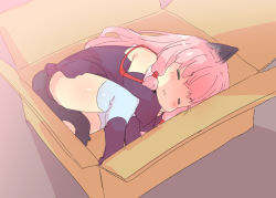 Rule 34 | 1girl, :3, = =, animal ears, black dress, blue thighhighs, blush, box, cardboard box, cat ears, cat tail, chibi, detached sleeves, dress, closed eyes, in box, in container, kotonoha akane, long hair, lying, on side, petenshi (dr. vermilion), pink hair, sleeping, smile, solo, tail, thighhighs, voiceroid