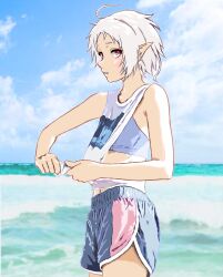 Rule 34 | 1girl, ahoge, alternate costume, blue shorts, blue sky, clothes pull, cloud, day, dolphin shorts, drying, drying clothes, elf, highres, looking at viewer, low-cut armhole, mizumori keiichi, mushoku tensei, ocean, outdoors, parted lips, pointy ears, red eyes, shirt, shirt pull, short hair, shorts, sky, sleeveless, sleeveless shirt, solo, sports bra, sylphiette (mushoku tensei), water, white hair