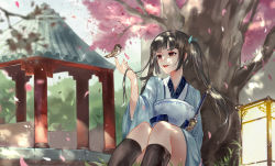 Rule 34 | 1girl, absurdres, animal, bad id, bad pixiv id, bird, black hair, black socks, blue kimono, blunt bangs, character request, cherry blossoms, day, hair ribbon, highres, holding, holding animal, holding bird, huge filesize, japanese clothes, kimono, kneehighs, long hair, long sleeves, moonlight blade, outdoors, parted lips, petals, red eyes, ribbon, scenery, sheath, sheathed, sitting, smile, socks, solo, sword, tree, twintails, vardan, weapon