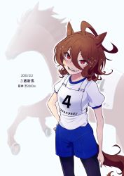 Rule 34 | 1girl, agnes tachyon (racehorse), agnes tachyon (umamusume), ahoge, blue shorts, brown hair, chest harness, creature and personification, diffraction spikes, fangs, flying sweatdrops, gym shirt, gym shorts, hair between eyes, harness, highres, horse girl, horse tail, long bangs, looking at viewer, medium hair, messy hair, pantyhose, red eyes, shirt, shorts, tail, torasigure, translated, umamusume