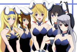 Rule 34 | 10s, 5girls, animal ears, bad id, bad pixiv id, black hair, blonde hair, blue eyes, blush, breasts, brown hair, cecilia alcott, charlotte dunois, cleavage, detached collar, eyepatch, fang, frown, hairband, huang lingyin, infinite stratos, laura bodewig, leotard, medium breasts, multiple girls, open mouth, playboy bunny, purple eyes, red eyes, sd (sdgu), sdgu, shinonono houki, silver hair, small breasts, smile, wrist cuffs