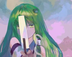 Rule 34 | 1girl, bare shoulders, blue background, cloud background, covered face, covered mouth, detached sleeves, frog hair ornament, gohei, gradient background, green eyes, green hair, hair ornament, hand up, highres, holding, holding gohei, kochiya sanae, kz m i, long hair, pink background, portrait, shirt, signature, single hair tube, sleeveless, sleeveless shirt, snake hair ornament, solo, touhou, white shirt, white sleeves