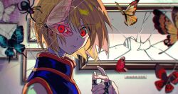 Rule 34 | 1boy, backlighting, blonde hair, blue butterfly, blue shirt, broken glass, bug, butterfly, empty eyes, glass, gold trim, hand up, high collar, hunter x hunter, indoors, insect, jewelry, kurapika, letterboxed, looking at viewer, lunar (lunar 815), male focus, multiple rings, orange butterfly, pink butterfly, red butterfly, red eyes, ring, shirt, short hair, silk, solo, spider, spider web, upper body, white butterfly