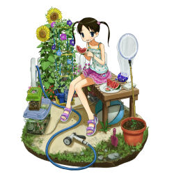 1girl anbiyori bad_id bad_twitter_id ball blue_eyes blue_flower blush bracelet butterfly_net camisole diorama fence fish fish_tank flower flower_pot food food_on_face fruit grass hair_ornament hand_net handheld_game_console highres hose hose_nozzle insect_cage jewelry layered_skirt morning_glory nintendo_ds open_mouth original pink_skirt plant plate potted_plant purple_flower purple_sandals rhinoceros_beetle rock sandals simple_background sitting skirt solo spaghetti_strap sunflower trowel twintails watermelon watermelon_slice white_background