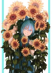 Rule 34 | 1girl, bare arms, blue background, blue bow, blue dress, blue eyes, blue hair, bow, cirno, commentary, dress, flower, grin, hair bow, highres, holding, holding flower, looking at viewer, mefomefo, red ribbon, ribbon, short hair, smile, solo, standing, sunflower, teeth, touhou, two-tone background, white background