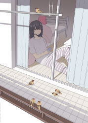 Rule 34 | 1girl, animal, balcony, bed, bird, bird request, black hair, brown eyes, cellphone, curtains, from outside, holding, holding phone, jitome, mattaku mousuke, medium hair, on floor, original, pants, phone, shade, shirt, short sleeves, sitting, sliding doors, smartphone, solo, striped clothes, striped pants