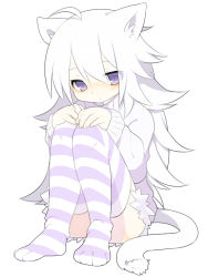 Rule 34 | 1girl, ahoge, animal ear fluff, animal ears, blush, cat ears, cat tail, hands on own knees, long hair, long sleeves, looking at viewer, mofuaki, naked sweater, original, purple eyes, shiro (mofuaki), silver hair, sitting, solo, striped clothes, striped thighhighs, sweater, tail, thighhighs
