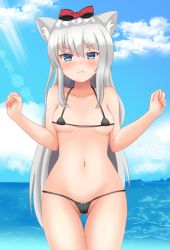 Rule 34 | 1girl, :t, animal ear fluff, animal ears, azur lane, bare arms, bare shoulders, bikini, black bikini, blue sky, blush, bow, bow bikini, breasts, cameltoe, cat ears, closed mouth, cloud, collarbone, commentary request, day, gluteal fold, green eyes, grey hair, groin, hair between eyes, hammann (azur lane), hands up, horizon, long hair, looking at viewer, michou, micro bikini, navel, ocean, outdoors, pout, sky, small breasts, solo, swimsuit, thigh gap, v-shaped eyebrows, very long hair, water, wavy mouth