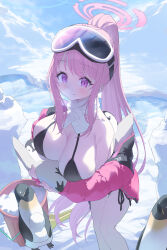 Rule 34 | 1girl, absurdres, animal, animal hug, applepie (12711019), bare legs, bare shoulders, bikini, bird, black bikini, blue archive, blush, breasts, bucket, down jacket, eimi (swimsuit) (blue archive), feet out of frame, goggles, goggles on head, halo, highres, jacket, jacket partially removed, large breasts, long hair, official alternate costume, outdoors, penguin, pink eyes, pink hair, pink jacket, ponytail, scarf, side-tie bikini bottom, sidelocks, ski goggles, smile, snow duck, solo, swimsuit, very long hair, white scarf