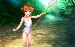 Rule 34 | 1990s (style), 1girl, :d, blush, brown hair, butterfly net, cardcaptor sakura, flat chest, green eyes, hand net, kinomoto sakura, mutsuki (moonknives), net, old school swimsuit, one-piece swimsuit, open mouth, partially submerged, school swimsuit, short hair, smile, solo, swimsuit, wading, water, wet, wet clothes, white school swimsuit, white one-piece swimsuit