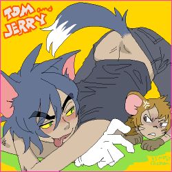 Rule 34 | 2boys, animal ears, brown hair, cat boy, cat ears, cat tail, character name, copyright name, costume, eyebrows, fang, gloves, grey hair, jerry (tom and jerry), lowres, male focus, mouse ears, multiple boys, personification, tail, tom, tom and jerry, tongue, whiskers, white gloves