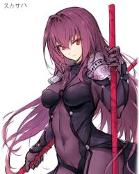 Rule 34 | 1girl, armor, bodysuit, bodysuit under clothes, character name, dual wielding, fate (series), gae bolg (fate), holding, holding polearm, holding weapon, long hair, looking at viewer, polearm, purple bodysuit, purple hair, red eyes, scathach (fate), shoulder armor, simple background, spear, tagme, very long hair, weapon