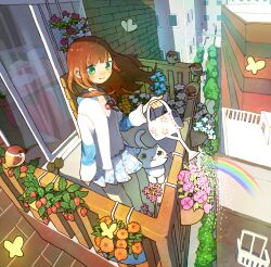 Rule 34 | 1girl, animal, arm at side, balcony, bird, blue flower, blue hood, blue skirt, brown bird, brown hair, bug, building, butterfly, cat, commentary request, crosswalk, day, dot nose, eurasian tree sparrow, floating hair, flower, flower pot, food, fruit, green eyes, hand up, highres, holding, holding watering can, hood, hood down, hoodie, insect, light blush, long hair, long sleeves, miniskirt, open clothes, open hoodie, orange flower, original, outdoors, pink flower, pink shirt, pitcher (container), plant, potted plant, print hoodie, print skirt, railing, rainbow, red ribbon, ribbon, shirt, skirt, sleeves past wrists, smile, socks, solo, sparrow, standing, strawberry, table, tao (tao15102), tissue box, water drop, watering, watering can, white cat, white flower, white shirt, white skirt, white socks, wind, window, yellow butterfly, yellow flower