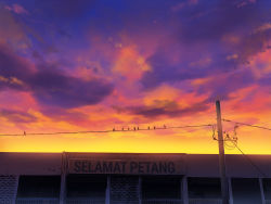 Rule 34 | animal, bird, building, cloud, cloudy sky, commentary, english commentary, highres, making-of available, malay text, mclelun, no humans, orange sky, original, outdoors, power lines, scenery, sign, sky, twilight