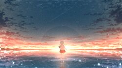 Rule 34 | 1girl, animal ears, chinese commentary, cloud, commentary request, from behind, full body, highres, light particles, night, night sky, original, outdoors, red skirt, reflection, rune xiao, scenery, shirt, short hair, signature, skirt, sky, solo, standing, star (sky), starry sky, sunset, white hair, white shirt