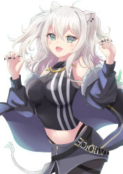 Rule 34 | 1girl, :d, absurdres, ahoge, animal ear fluff, animal ears, bare shoulders, black jacket, black nails, black pantyhose, black shirt, breasts, cleavage, commentary request, crop top, fur-trimmed jacket, fur trim, grey eyes, grey hair, hands up, highres, hilamaru, hololive, jacket, lion ears, lion girl, lion tail, long hair, long sleeves, medium breasts, midriff, nail polish, navel, off shoulder, open clothes, open jacket, open mouth, pantyhose, puffy long sleeves, puffy sleeves, see-through, see-through cleavage, shirt, shishiro botan, shishiro botan (1st costume), simple background, sleeveless, sleeveless shirt, smile, solo, tail, two side up, virtual youtuber, white background