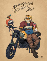 Rule 34 | 1boy, 2022, absurdres, bird, boots, chinese zodiac, cup, disposable cup, drinking straw, english text, furry, furry male, unworn headwear, helmet, unworn helmet, highres, holding, kickstand, leaning on object, male focus, motor vehicle, motorcycle, original, samanokami0122, shirt, short sleeves, simple background, sunglasses, t-shirt, tiger, year of the tiger