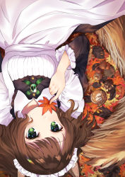 Rule 34 | 1girl, acorn, animal ears, apron, autumn leaves, black dress, brooch, brown hair, collared dress, commentary request, covered mouth, dress, green eyes, highres, holding, holding leaf, jewelry, juliet sleeves, leaf, long hair, long sleeves, lying, maid, maid apron, maid headdress, maple leaf, omelet tomato, on back, original, pinecone, puffy sleeves, solo, squirrel ears, squirrel girl, squirrel tail, tail, white apron