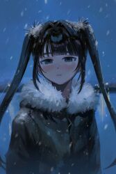 Rule 34 | 1girl, arms at sides, black eyes, black hair, blush, closed mouth, fur-trimmed jacket, fur trim, green jacket, hair intakes, highres, horizon, inu dakisime, jacket, light frown, long bangs, long hair, long sleeves, looking at viewer, night, nose blush, original, outdoors, sidelocks, snow on head, snowing, solo, twintails, upper body, very long hair