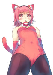 Rule 34 | 1girl, alternate costume, animal ears, bare shoulders, black pantyhose, blush, cameltoe, cat ears, cat tail, culter, elbow gloves, female focus, from below, gloves, heart, kemonomimi mode, kittysuit, komeiji satori, leotard, looking at viewer, nontraditional playboy bunny, pantyhose, pink eyes, pink hair, red gloves, simple background, solo, tail, third eye, touhou, white background