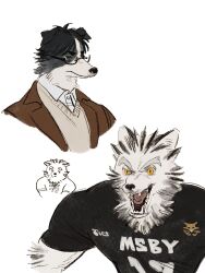 Rule 34 | 2boys, akaashi keiji, animal ears, black fur, black hair, black shirt, blue eyes, body fur, bokuto koutarou, brown jacket, brown sweater, chengongzi123, chibi, chibi inset, closed mouth, collared jacket, collared shirt, commentary, dog boy, dog ears, furrification, furry, furry male, grey fur, haikyuu!!, highres, jacket, looking at viewer, looking to the side, male focus, multiple boys, open mouth, portrait, sharp teeth, shirt, short hair, short sleeves, simple background, slit pupils, sportswear, sweater, symbol-only commentary, teeth, thick eyebrows, uneven eyes, upper body, very short hair, volleyball uniform, white background, white fur, wolf boy, wolf ears, yellow eyes