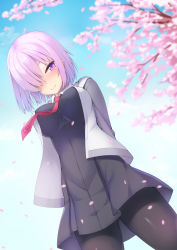 Rule 34 | 1girl, arms behind back, black dress, black pantyhose, blue sky, blurry, blush, branch, breasts, cherry blossoms, closed mouth, collared dress, commentary request, cowboy shot, day, depth of field, dress, fate/grand order, fate (series), gluteal fold, grey jacket, hair over one eye, hood, hood down, hooded jacket, jacket, large breasts, light purple hair, long sleeves, looking at viewer, mash kyrielight, necktie, open clothes, open jacket, outdoors, pantyhose, petals, pleated dress, purple eyes, red necktie, short hair, sidelocks, sky, smile, solo, standing, tatsumiya kagari, uniform