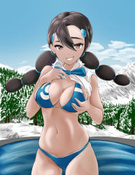 Rule 34 | 1girl, bikini, blue sky, branch, breasts, brown eyes, bzurrf, candice (pokemon), cleavage, clothes lift, cloud, creatures (company), game freak, highres, lake, large breasts, long hair, looking at viewer, mountain, multi-tied hair, nintendo, pokemon, pokemon dppt, shirt lift, sky, snow, swimsuit, tree, water