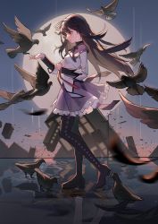 Rule 34 | 1girl, 30020505, absurdres, akemi homura, argyle, argyle clothes, argyle legwear, bird, black footwear, black hair, boots, building, chinese commentary, commentary request, crumbling, evening, expressionless, falling feathers, feathers, floating hair, flock, frilled skirt, frills, from side, full body, hairband, highres, holding, holding ribbon, jacket, long hair, looking down, mahou shoujo madoka magica, mahou shoujo madoka magica (anime), motion blur, neck ribbon, outdoors, outstretched arm, pantyhose, profile, purple eyes, purple skirt, red hairband, reflection, reflective water, ribbon, ripples, skirt, solo, straight hair, thigh boots, walking, water, white jacket