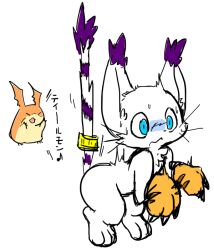 Rule 34 | animal ears, cat, cat ears, digimon, digimon (creature), gloves, holy ring, patamon, tail, tailmon, translated