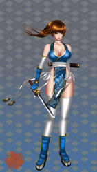 Rule 34 | 1girl, breasts, cleavage, dead or alive, highres, kasumi (doa), large breasts, ponytail, solo, tecmo, xuexue yue hua