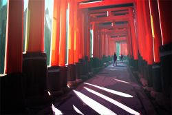 Rule 34 | commentary request, day, original, outdoors, path, people, road, running, scenery, shade, shadow, shrine, silhouette, sketch, standing, torii, zennmai siki
