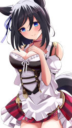 Rule 34 | 1girl, absurdres, ahoge, animal ears, bare shoulders, belt, black hair, blue eyes, blue ribbon, blush, bow, breasts, brown belt, buckle, buttons, choker, cleavage, closed mouth, collarbone, commentary request, ear ribbon, eishin flash (umamusume), frilled sleeves, frills, hands on own chest, highres, horse ears, horse girl, horse tail, large breasts, long sleeves, newon, red choker, ribbon, ribbon choker, short hair, simple background, smile, solo, standing, tail, umamusume, white background, white sleeves, wide sleeves