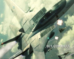 Rule 34 | ace combat, ace combat 5, afterburner, aircraft, airplane, battle, blaze (character), cloud, contrail, drop tank, emblem, explosion, f-14, fighter, fighter jet, helmet, jet, military, military vehicle, missile, multiple aircraft, namco, no humans, official art, official wallpaper, pilot, vehicle focus, wallpaper, wardog squadron