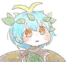 Rule 34 | 1girl, :o, antennae, bad id, bad twitter id, blue hair, blush, brown eyes, commentary request, eternity larva, gyate gyate, leaf, leaf on head, looking at viewer, parted lips, sasa kichi, short hair, simple background, solo, touhou, upper body, white background