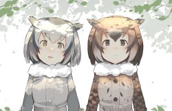 Rule 34 | 10s, 2girls, :d, animal ears, blush, brown eyes, brown hair, closed mouth, commentary request, eurasian eagle owl (kemono friends), fur collar, fuu fuu, highres, kemono friends, leaf, looking at viewer, multiple girls, northern white-faced owl (kemono friends), open mouth, short hair, silver hair, smile, upper body