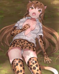 Rule 34 | 1girl, animal ears, animal print, arm at side, arm rest, breast pocket, breasts, brown eyes, brown hair, cheetah (kemono friends), cheetah ears, cheetah print, cheetah tail, collarbone, collared shirt, elbow gloves, fangs, furrowed brow, gloves, hand on own chest, kemono friends, long hair, looking at viewer, lying, miniskirt, multicolored hair, no bra, on back, on ground, open clothes, open mouth, open shirt, outdoors, panties, pocket, print gloves, print skirt, print thighhighs, see-through, shirt, short sleeves, skirt, small breasts, solo, sweat, tadano magu, tail, thighhighs, underwear, upskirt, very long hair, white panties, white shirt