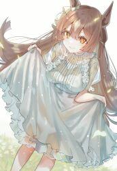 Rule 34 | 1girl, animal ears, breasts, brown hair, closed mouth, clothes lift, daisy, dress, dress lift, ear ornament, flower, frilled dress, frilled sleeves, frills, grass, highres, horse ears, horse girl, large breasts, lifted by self, light particles, long hair, looking at viewer, orange eyes, satono diamond (umamusume), see-through, see-through sleeves, short sleeves, smile, solo, standing, ueruko, umamusume, white background, white dress