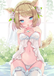 Rule 34 | absurdres, animal ears, warrior of light (ff14), babydoll, blonde hair, blue eyes, breasts, cat ears, cat tail, collar, commission, final fantasy, final fantasy xiv, flower, flower ornament, groin, hair flower, hair ornament, hand on own chest, highres, lace, lace-trimmed legwear, lace trim, lingerie, looking at viewer, miqo&#039;te, navel, nyahu (nyahu 77), panties, ribbon, rose, seductive smile, short hair, skeb commission, smile, tail, thighs, tongue, underwear, white babydoll, white flower, white legwear, white panties, white rose
