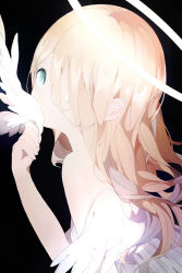 Rule 34 | 1girl, angel, angel wings, aqua eyes, bare shoulders, biting, black background, blonde hair, breasts, brown hair, cannibalism, dress, eating, feathered wings, from side, hair between eyes, hair over one eye, halo, hand up, highres, holding, holding whip, leaning forward, long hair, looking at viewer, looking to the side, multicolored hair, n79oqc3yja6jlof, original, severed wings, simple background, sleeveless, sleeveless dress, small breasts, solo, streaked hair, upper body, white background, white dress, white wings, wings
