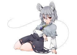Rule 34 | 1girl, akagashi hagane, animal ears, bad id, bad pixiv id, capelet, female focus, grey hair, jewelry, mouse ears, mouse tail, nazrin, pendant, red eyes, short hair, sitting, solo, tail, touhou