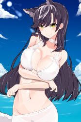 Rule 34 | 1girl, absurdres, animal ears, atago (azur lane), atago (summer march) (azur lane), azur lane, bikini, black hair, blue sky, blush, breast hold, breasts, brown eyes, choker, cleavage, cloud, day, heart, heart-shaped pupils, highres, large breasts, long hair, looking at viewer, mole, mole under eye, navel, ocean, pon (shind 997), sky, smile, solo, swimsuit, symbol-shaped pupils, white bikini