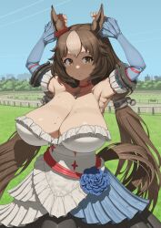 Rule 34 | 1girl, animal ears, armpits, arms up, breasts, brown eyes, brown hair, choker, cleavage, corsage, detached sleeves, dress, frills, highres, horse ears, horse girl, horse tail, huge breasts, long hair, low twintails, maruko tooto, multicolored hair, pendant choker, racetrack, smile, solo, strapless, strapless dress, streaked hair, sweat, tail, twintails, umamusume, very long hair, yamanin zephyr (umamusume)