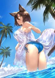 Rule 34 | 1girl, animal ears, bare shoulders, bikini, blue bikini, breasts, brown hair, cat ears, cat tail, clothes lift, cloud, day, dress, dress lift, eyebrows, fang, from behind, from below, guchico, hair between eyes, looking at viewer, looking back, original, palm tree, see-through, short hair, sky, smile, solo, standing, sundress, swimsuit, tail, tree, underboob, wading, water, wet, wet clothes, white dress, yellow eyes