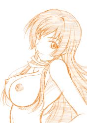 Rule 34 | 1girl, breasts, long hair, looking at viewer, misnon the great, monochrome, muv-luv, muv-luv alternative, muv-luv total eclipse, nipples, orange theme, simple background, sketch, smile, solo, takamura yui, white background