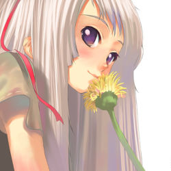 Rule 34 | 1girl, dandelion, flower, lowres, morii shizuki, original, purple eyes, ribbon, simple background, solo