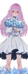 Rule 34 | 1girl, absurdres, atsuko (blue archive), blue archive, blush, bouquet, closed mouth, dress, feet out of frame, flower, frilled dress, frills, hair between eyes, highres, holding, holding bouquet, kaze 22, long hair, looking at viewer, pink hair, puffy short sleeves, puffy sleeves, red eyes, short sleeves, simple background, smile, solo, white background, white dress
