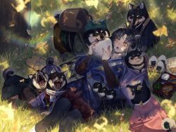 Rule 34 | 1girl, animal, animal ears, arknights, autumn leaves, bento, black hair, black pants, blue kimono, blush, chopsticks, clothed animal, day, dog, dog ears, facial mark, feet out of frame, food, forehead mark, ginkgo leaf, holding, holding food, japanese clothes, kikan (kikanoe), kimono, leaf, long hair, long sleeves, lying, official alternate costume, on back, on grass, on ground, onigiri, open mouth, pants, parted bangs, saga (arknights), saga (there they be) (arknights), sandals, sharp teeth, shiba inu, solo, sunlight, teeth, unworn sandals, zouri