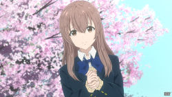 Rule 34 | 1girl, absurdres, blue bow, blue bowtie, bow, bowtie, brown eyes, brown hair, day, dutch angle, hair between eyes, highres, koe no katachi, long hair, looking at viewer, nishimiya shouko, outdoors, own hands clasped, own hands together, satyarizqy, school uniform, solo, tree, upper body