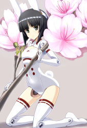Rule 34 | 10s, 1girl, animal ears, asuka (busou shinki), black hair, blunt bangs, bob cut, boots, breasts, busou shinki, cherry blossoms, cleavage cutout, clothing cutout, doll joints, flower, from side, full body, gloves, grey background, grey eyes, hip focus, holding, joints, kneeling, leotard, light smile, looking at viewer, mini person, minigirl, parted bangs, rabbit ears, rabbit tail, ribbon-trimmed legwear, ribbon trim, shadow, simple background, small breasts, smile, solo, tail, thigh boots, thighhighs, tora (huuunnji), white footwear, white thighhighs